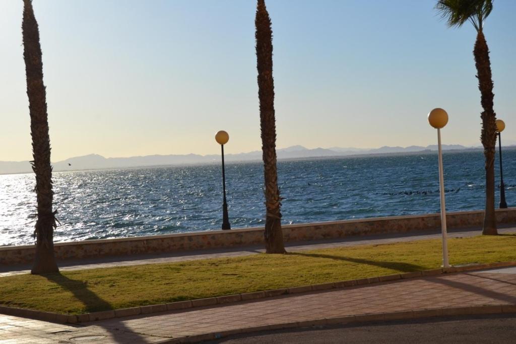 Apartamentos Turisticos Puerto Tomas Maestre ラ・マンガ・デル・マール・メノール 部屋 写真